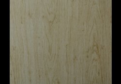 RENK - B. 066